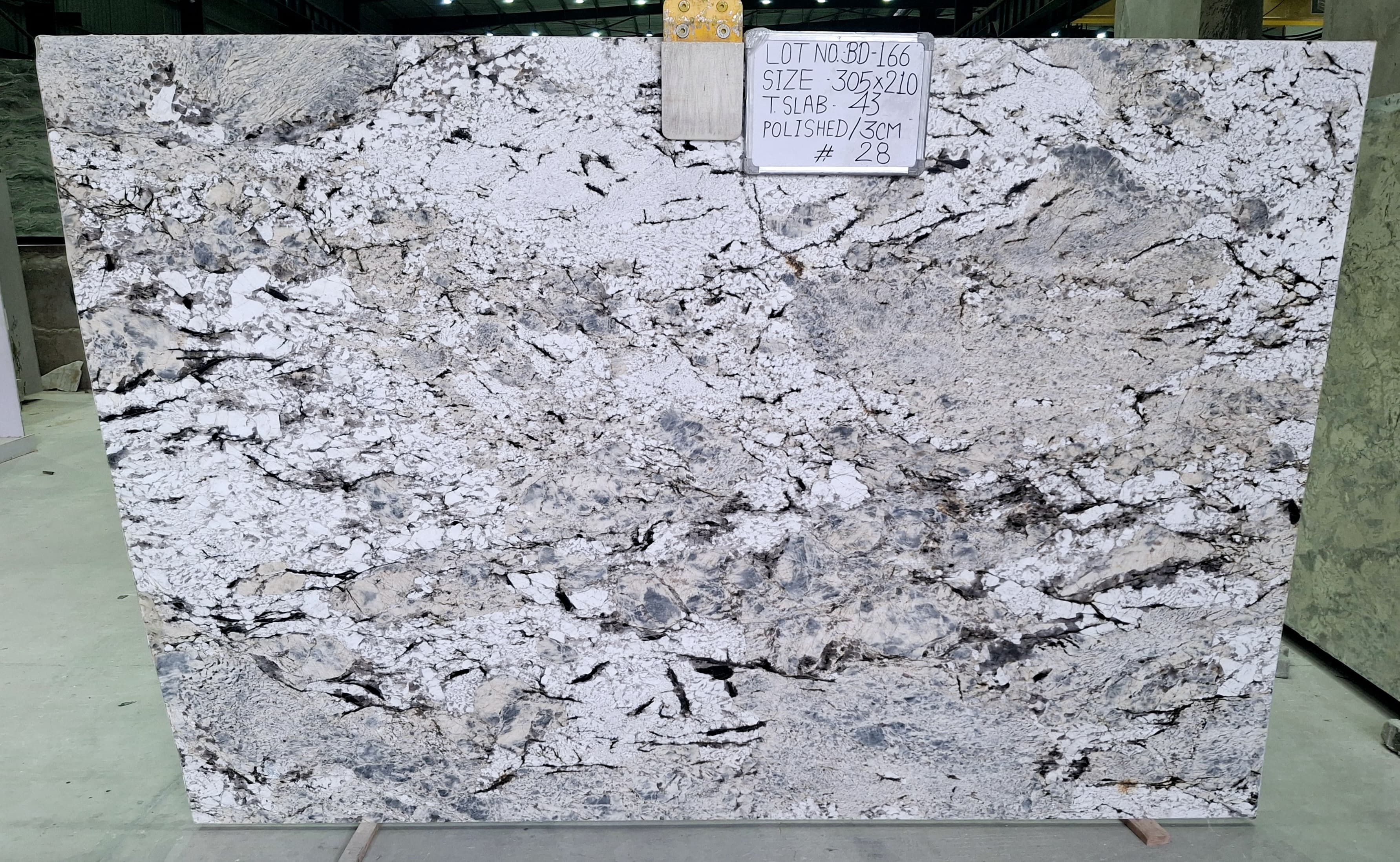 Premium Wood Panel - Oak