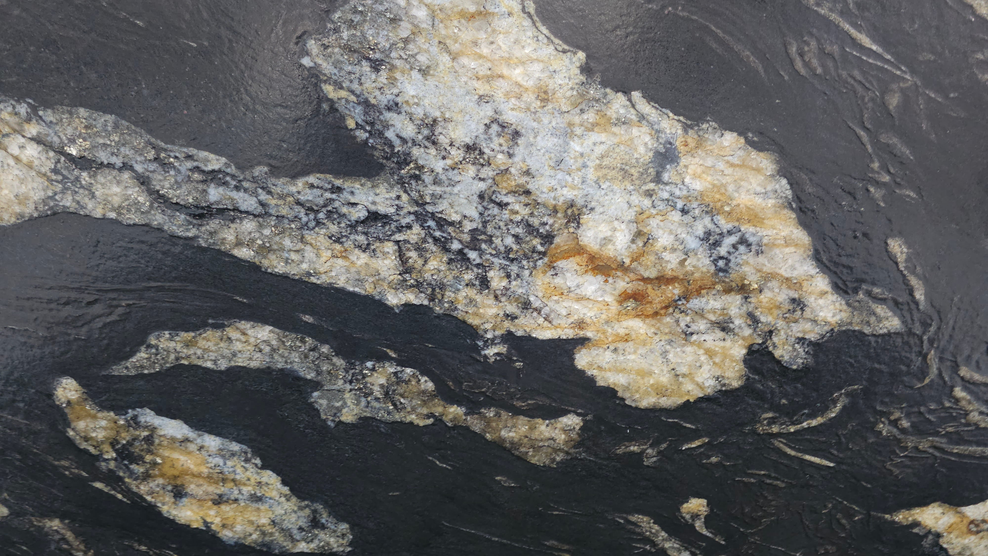 Premium Wood Panel - Oak