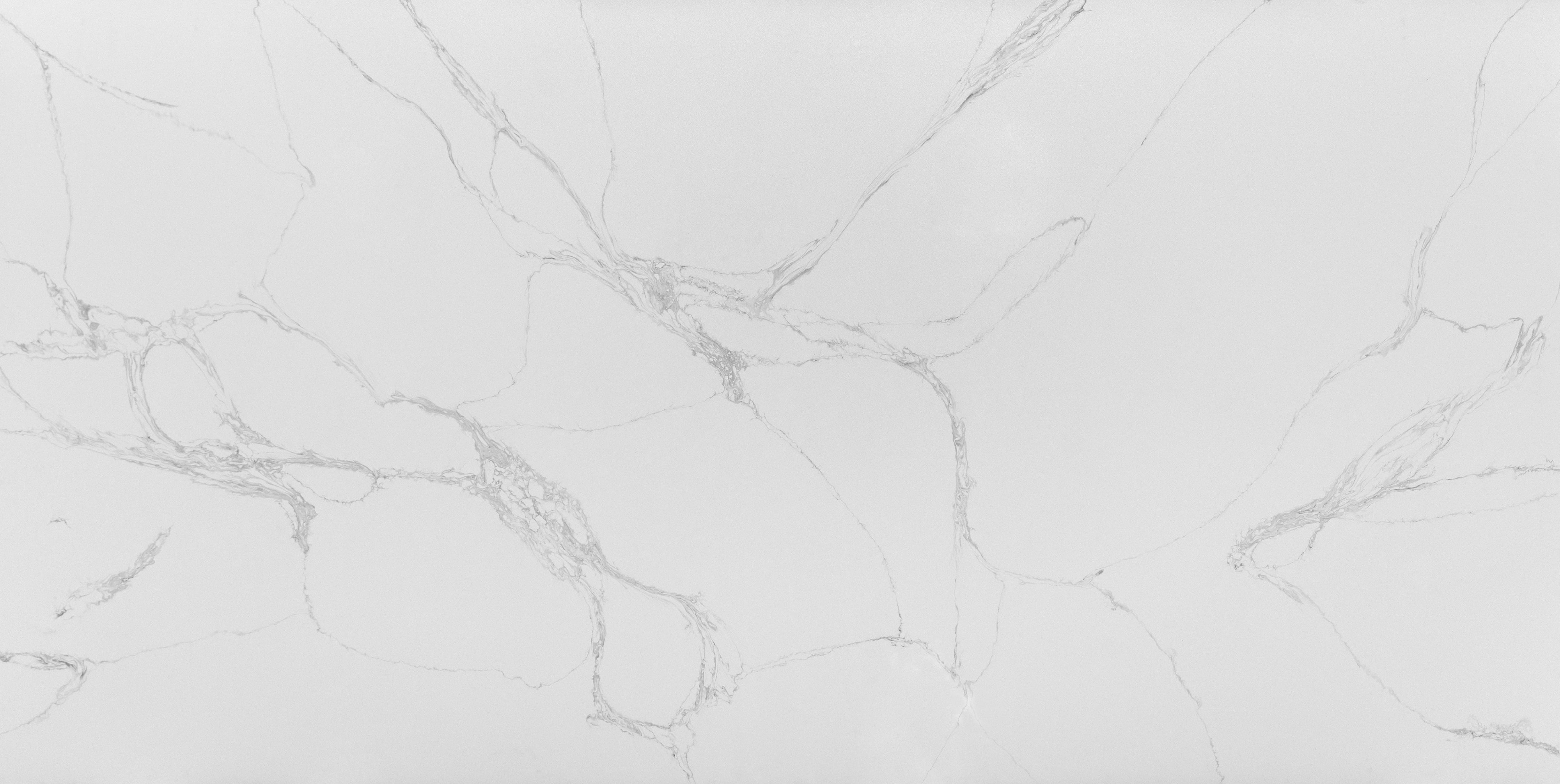 Premium Wood Panel - Oak