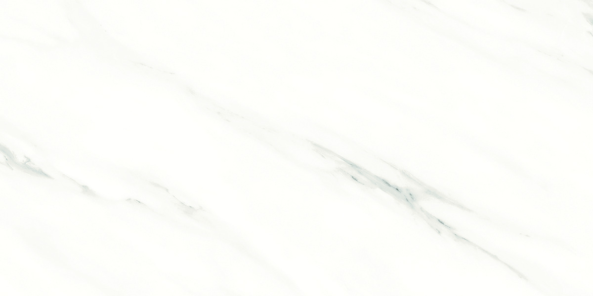 Premium Wood Panel - Oak