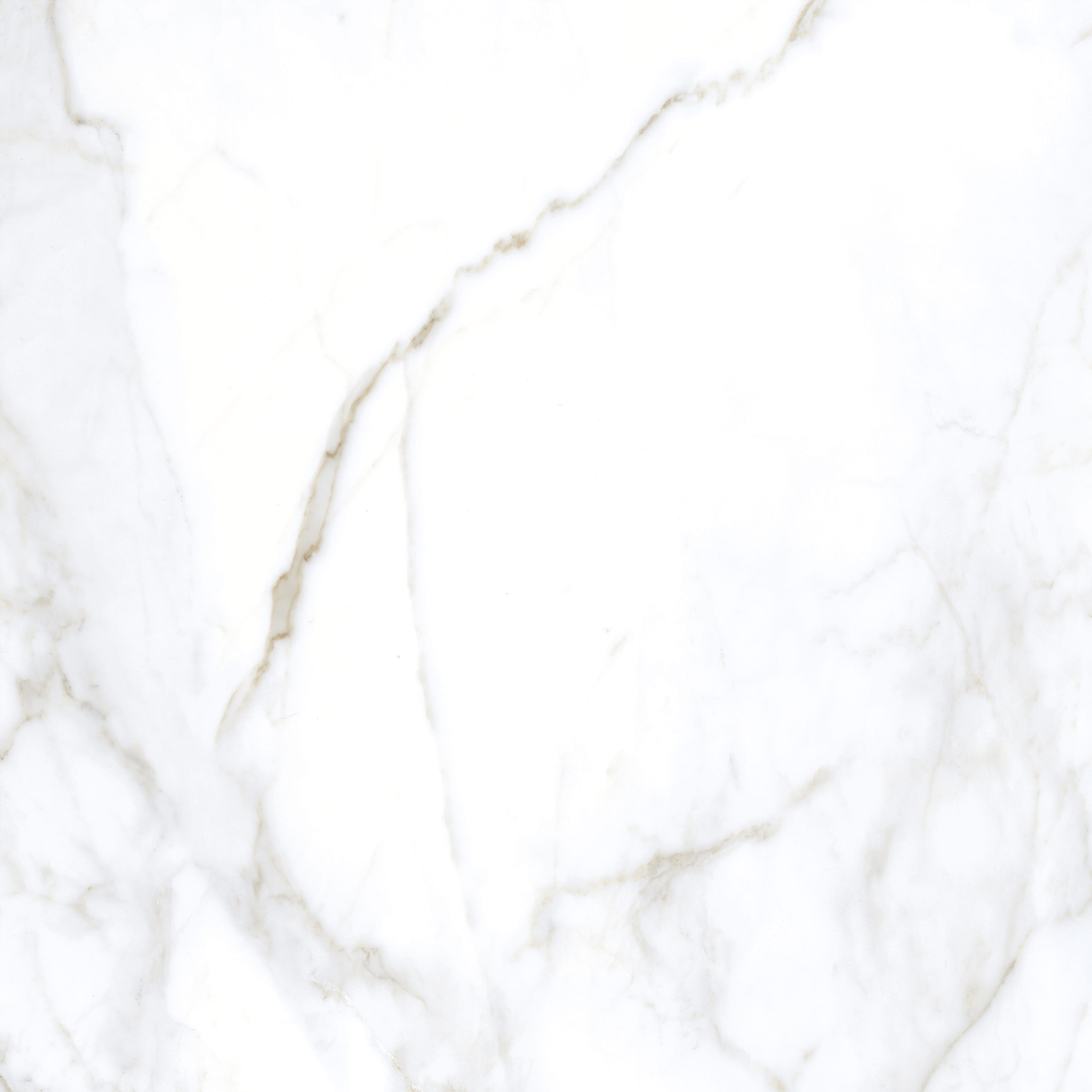 Premium Wood Panel - Oak