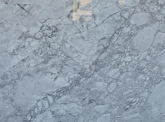 Premium Wood Panel - Oak