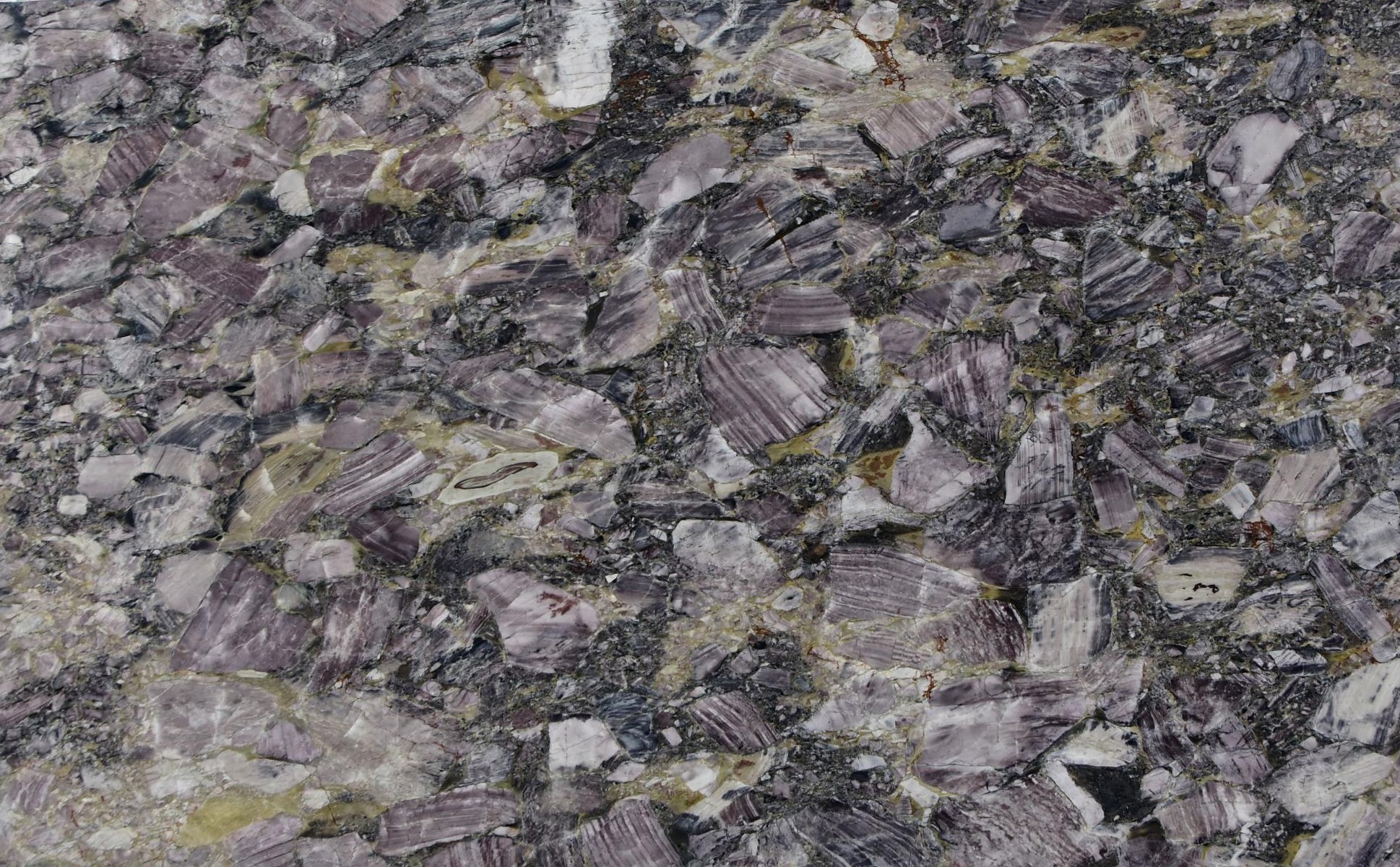 Premium Wood Panel - Oak