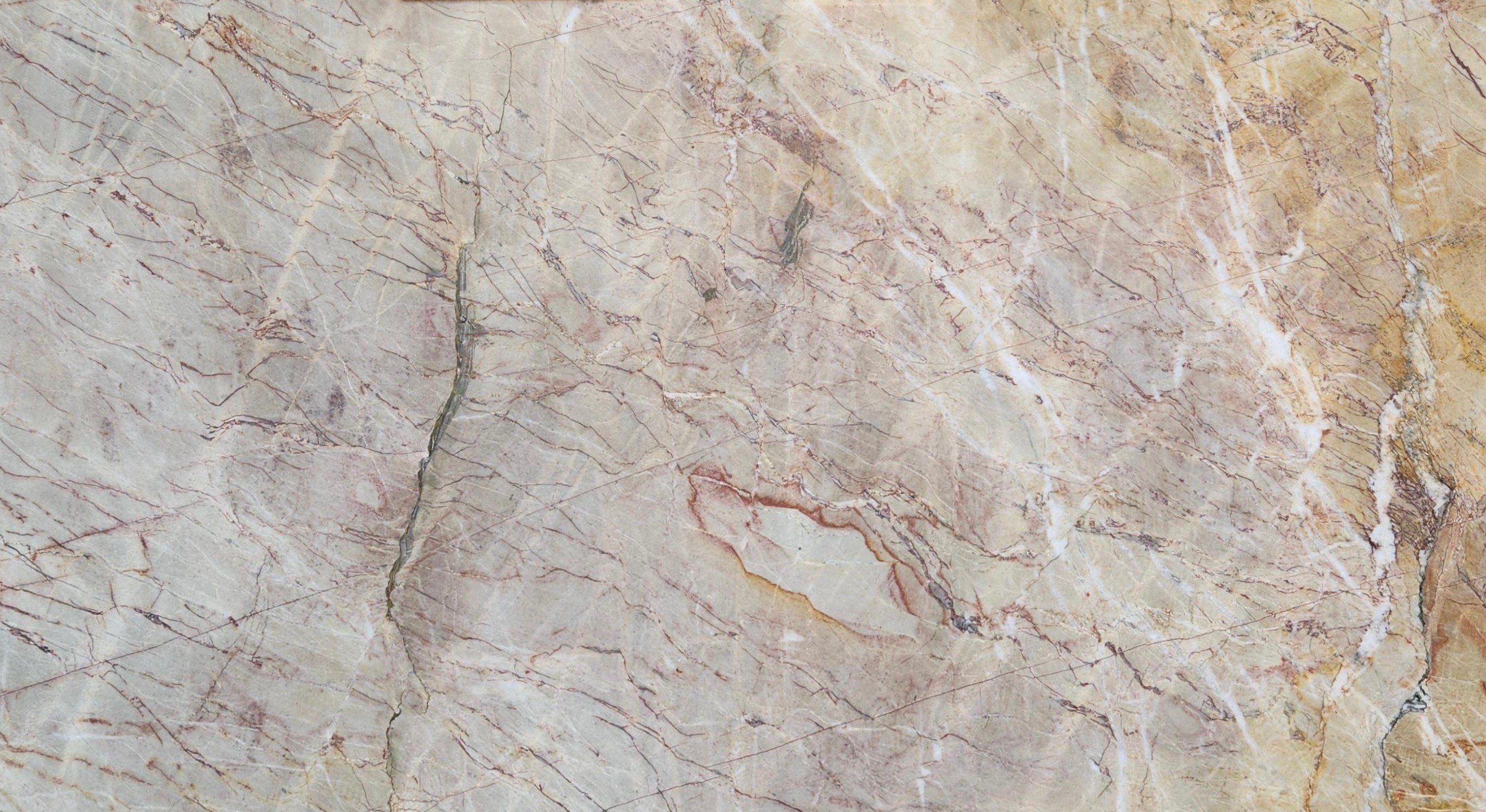 Premium Wood Panel - Oak