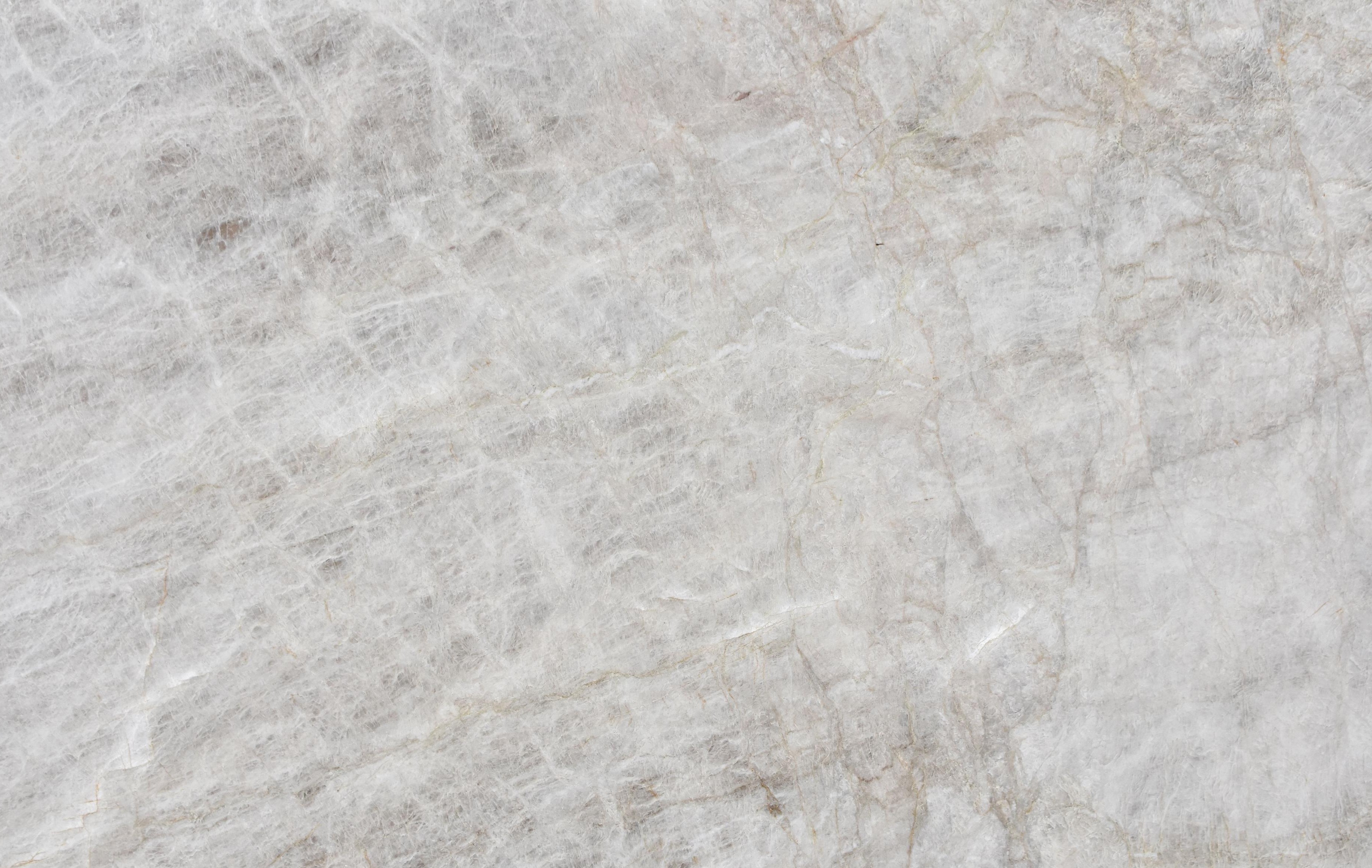 Premium Wood Panel - Oak