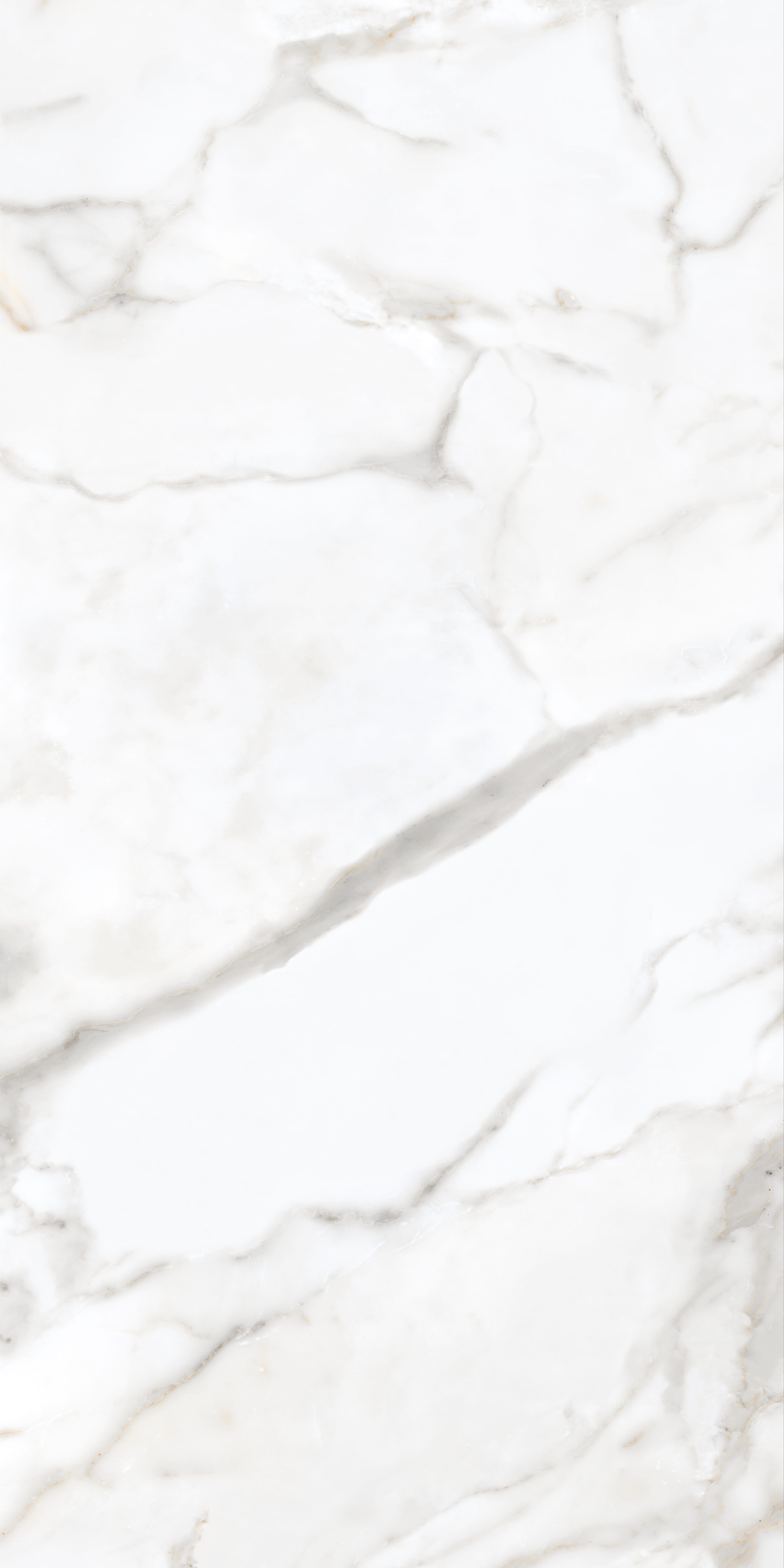 Premium Wood Panel - Oak