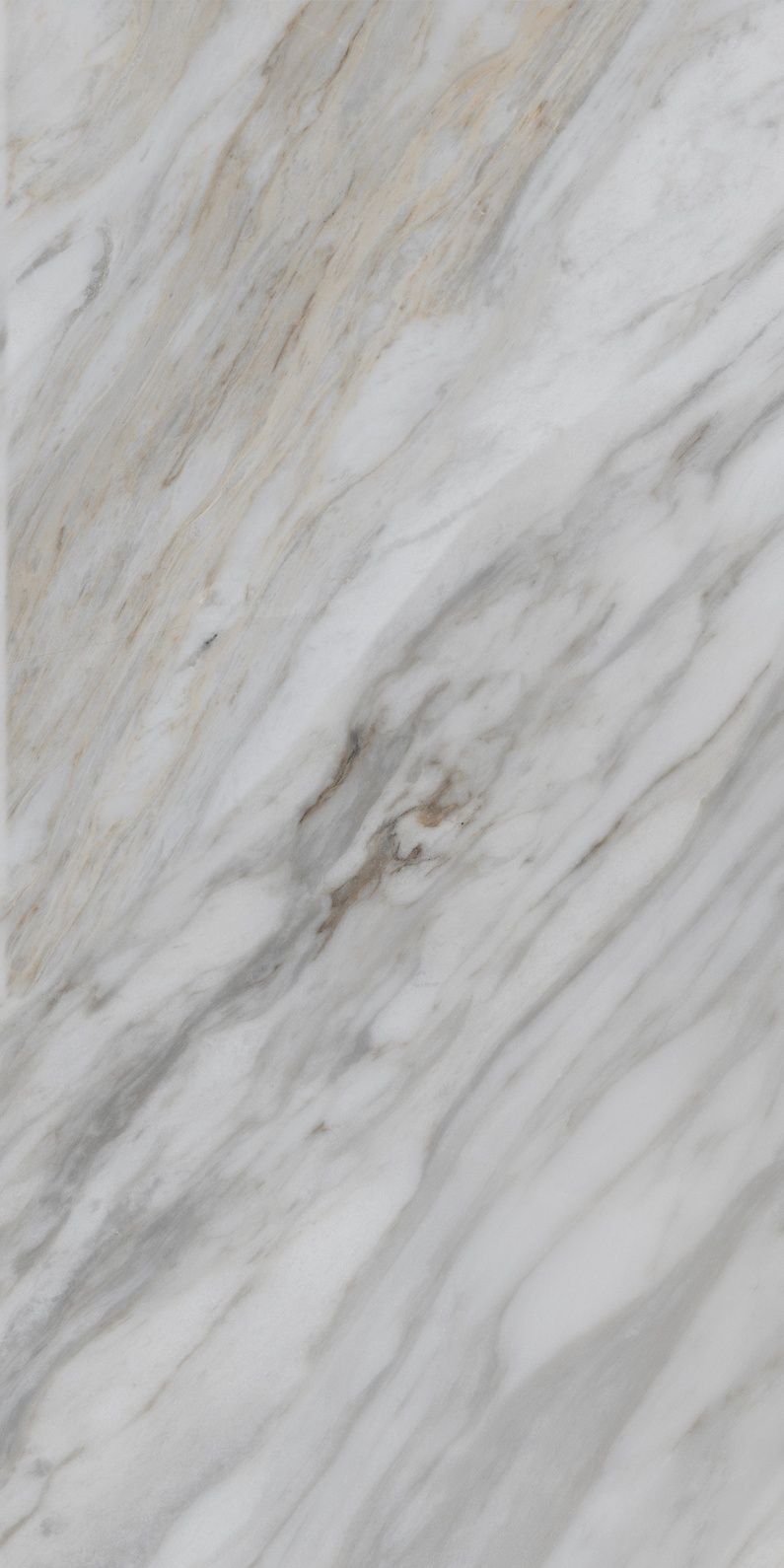 Premium Wood Panel - Oak