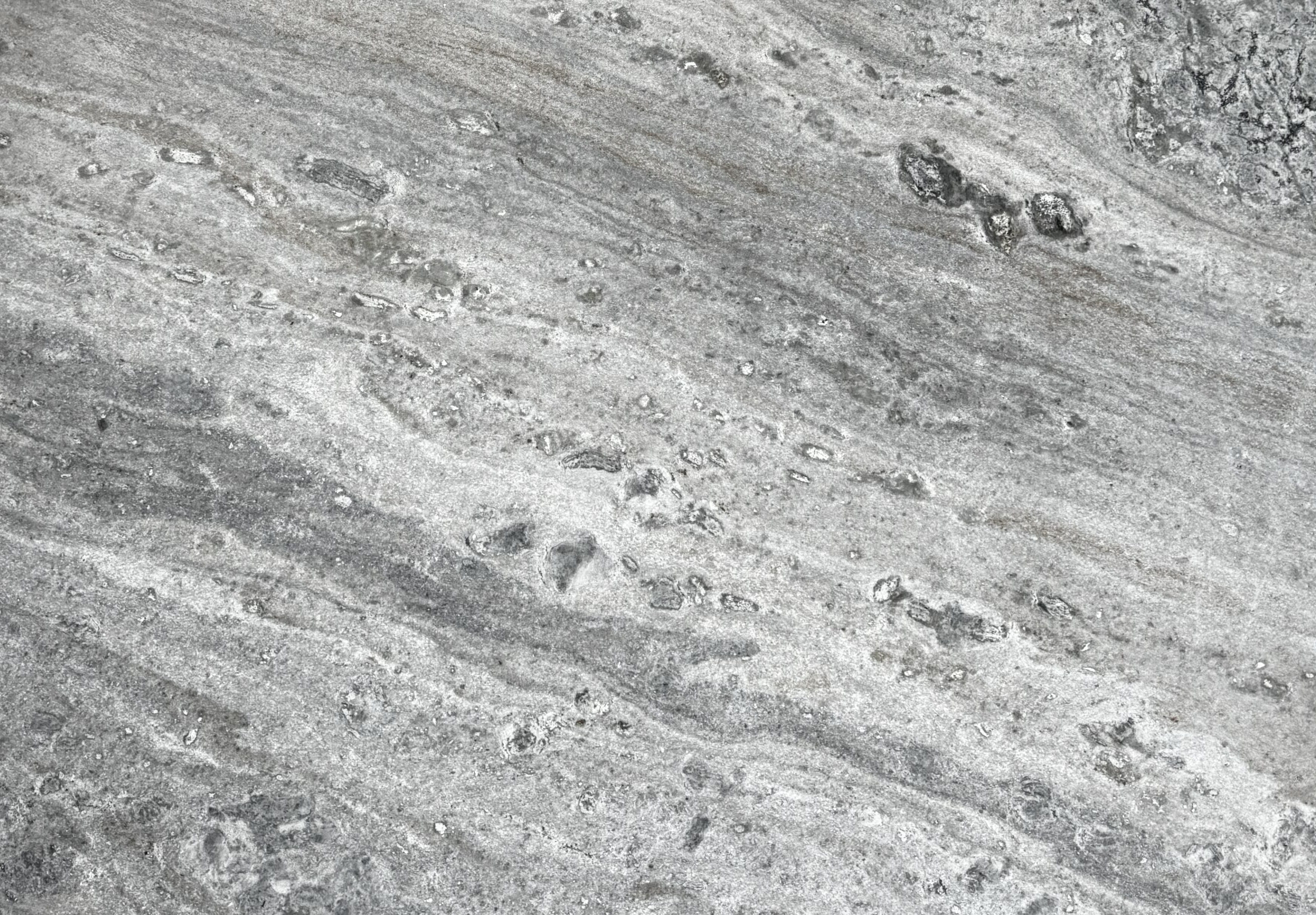 Premium Wood Panel - Oak